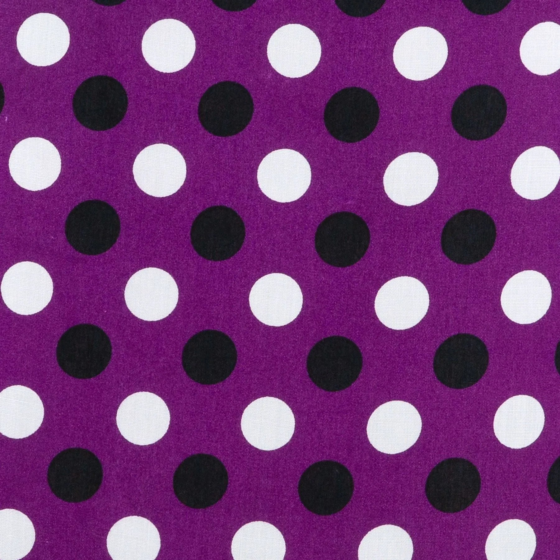 Box Top - Purple Polka