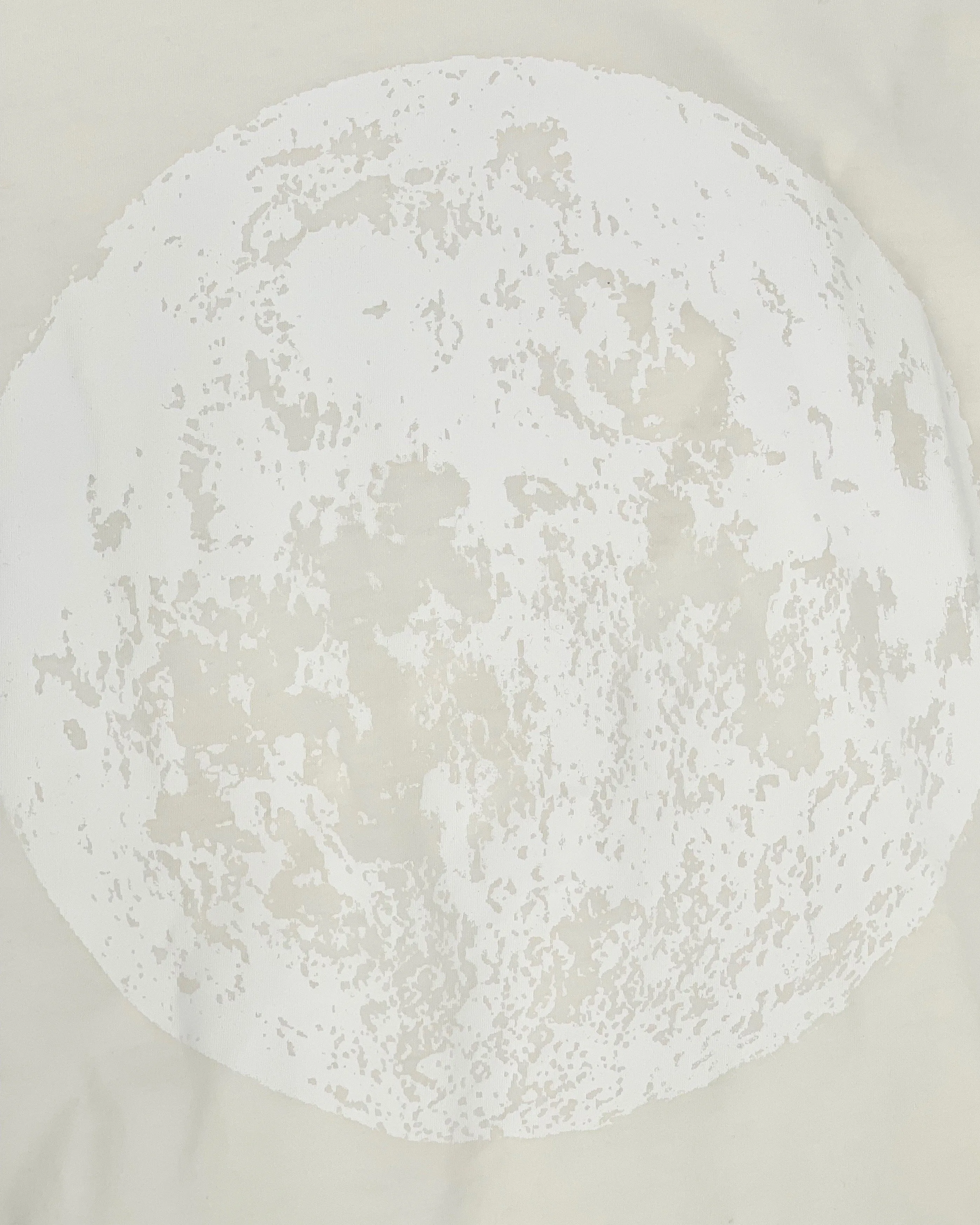 Full Moon by Day T-Shirts