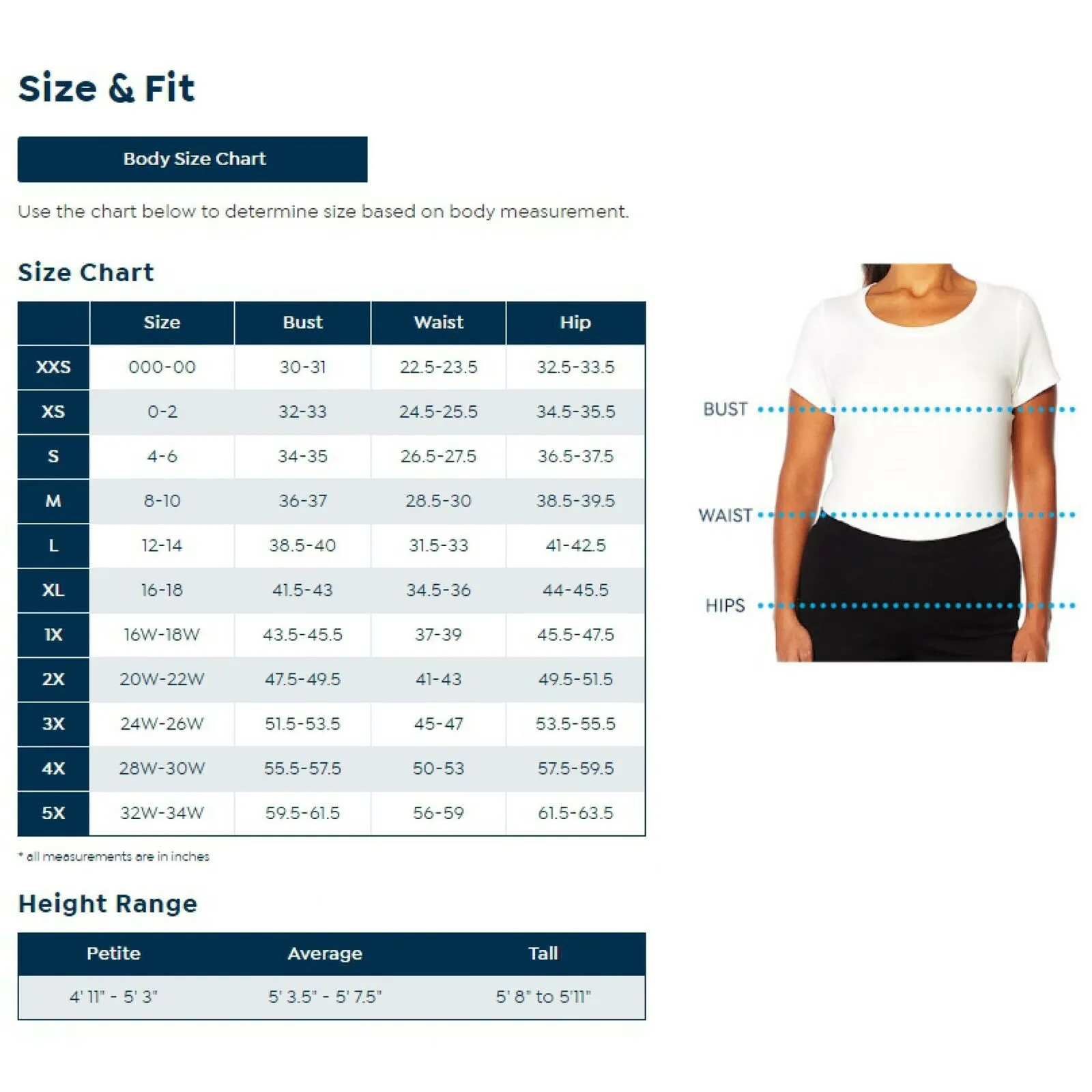 Slinky Brand Women's Plus Size 2 Pack Raglan Ruffle Cap Sleeve T-Shirts