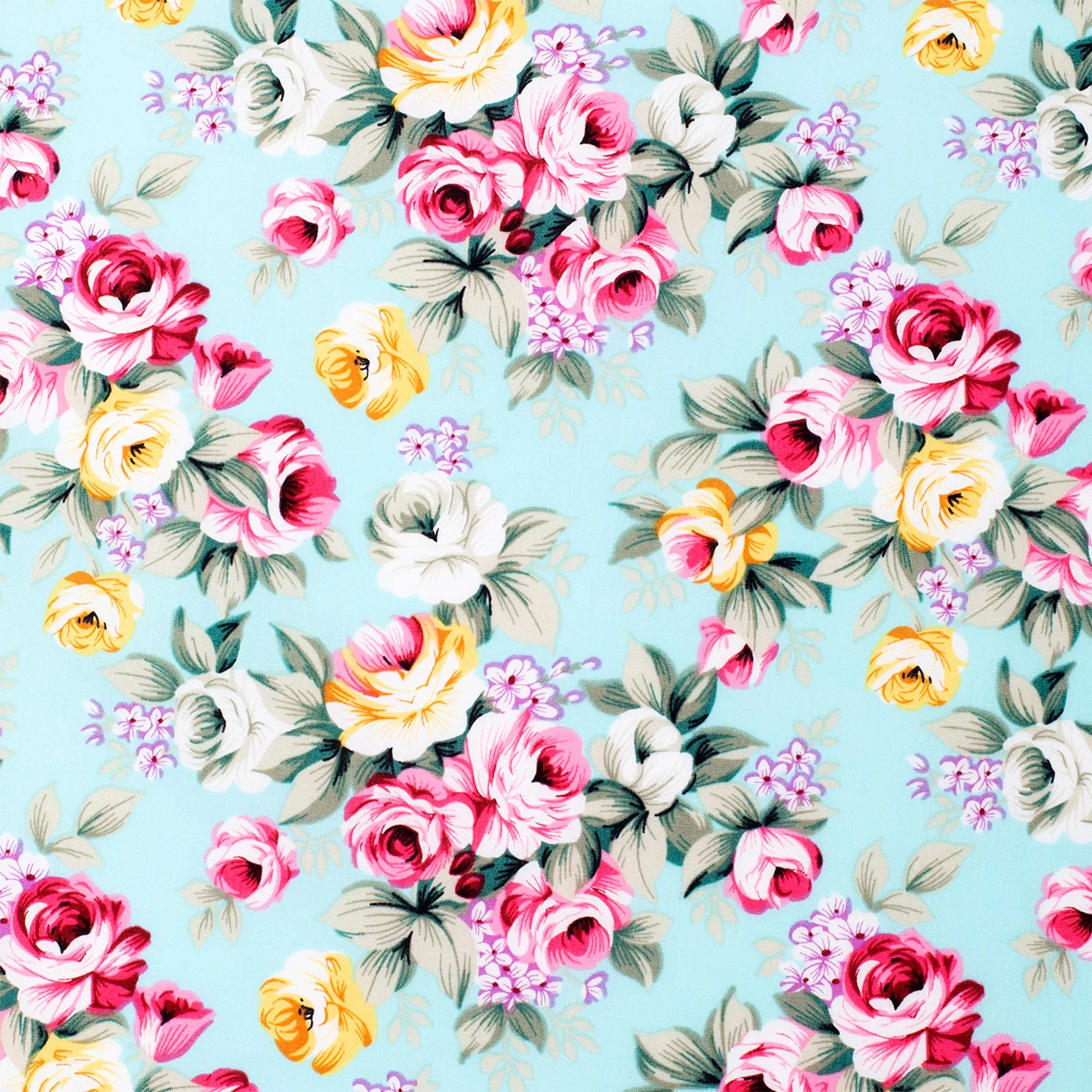 Women's - Abbey - Full Button